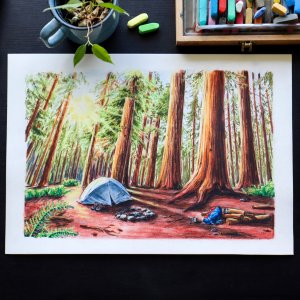 ÉDITION LIMITÉE A3 "Île de Vancouver" - À l'ombre des géants