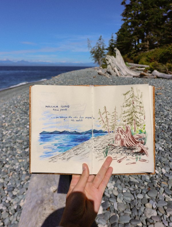 Croquis de voyage - Malcolm island – Image 2