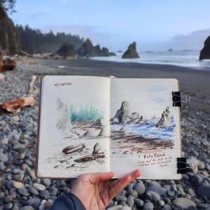 Croquis de voyage - Ruby beach WA