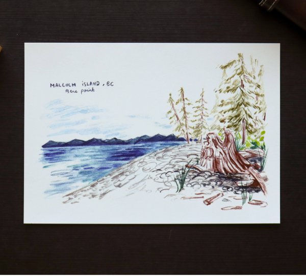Croquis de voyage - Malcolm island