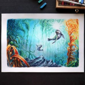 ÉDITION LIMITÉE A3 "Île de Vancouver" - Balade sous-marine